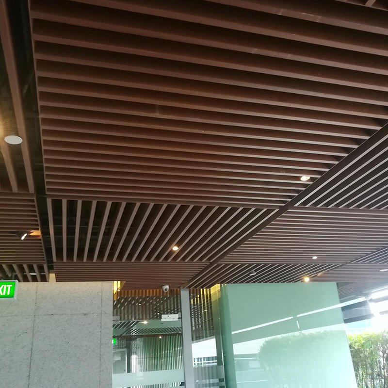 Ceiling Panels